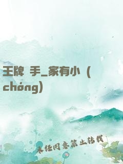 王牌殺手