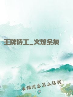 王牌特工