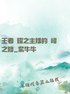 王者榮耀之主播的巔峰之路
