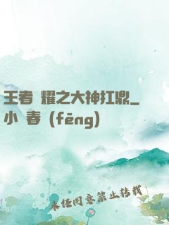 王者榮耀之大神扛鼎