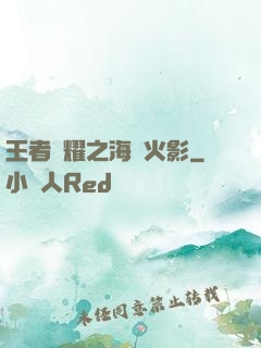 王者榮耀之海賊火影