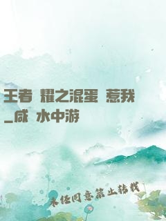 王者榮耀之混蛋別惹我
