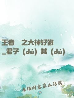 王者歸來之大神好傲嬌