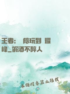 王者：從陪玩到榮耀巔峰