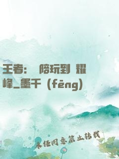 王者：從陪玩到榮耀巔峰