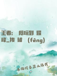 王者：從陪玩到榮耀巔峰