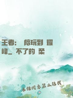 王者：從陪玩到榮耀巔峰