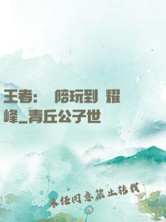 王者：從陪玩到榮耀巔峰