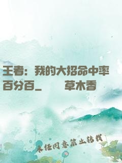 王者：我的大招命中率百分百
