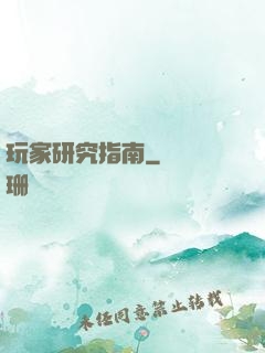玩家研究指南
