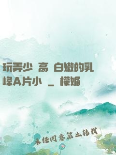 玩弄少婦高聳白嫩的乳峰A片小說
