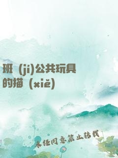 班級(jí)公共玩具的描寫(xiě)