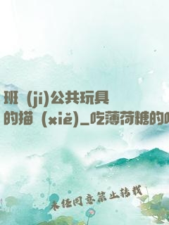 班級(jí)公共玩具的描寫(xiě)
