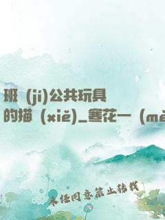 班級(jí)公共玩具的描寫(xiě)