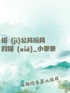 班級(jí)公共玩具的描寫(xiě)