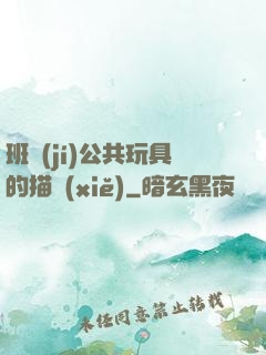 班級(jí)公共玩具的描寫(xiě)