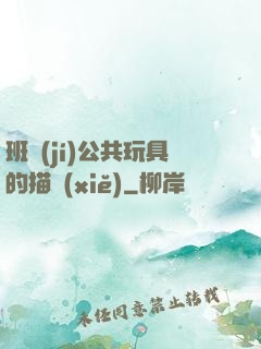 班級(jí)公共玩具的描寫(xiě)