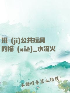 班級(jí)公共玩具的描寫(xiě)