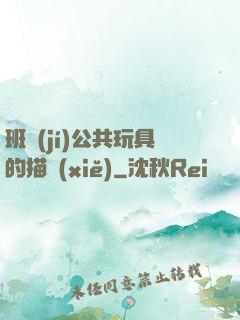 班級(jí)公共玩具的描寫(xiě)