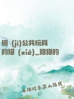班級(jí)公共玩具的描寫(xiě)