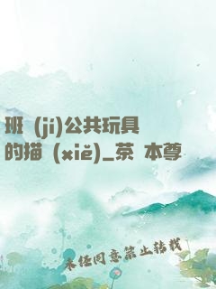 班級(jí)公共玩具的描寫(xiě)