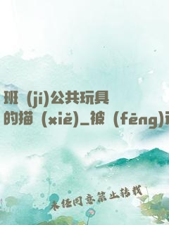 班級(jí)公共玩具的描寫(xiě)