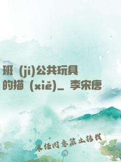 班級(jí)公共玩具的描寫(xiě)