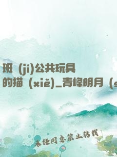 班級(jí)公共玩具的描寫(xiě)