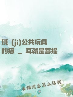 班級(jí)公共玩具的描寫