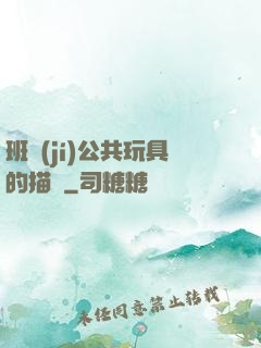 班級(jí)公共玩具的描寫