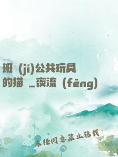 班級(jí)公共玩具的描寫