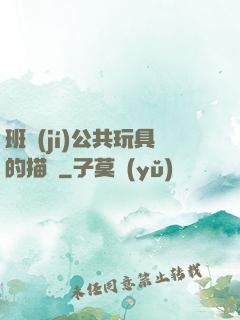 班級(jí)公共玩具的描寫