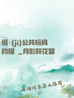 班級(jí)公共玩具的描寫