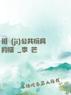 班級(jí)公共玩具的描寫
