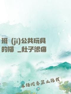 班級(jí)公共玩具的描寫