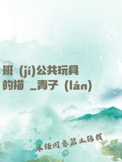 班級(jí)公共玩具的描寫