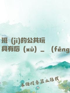班級(jí)的公共玩具有后續(xù)嗎