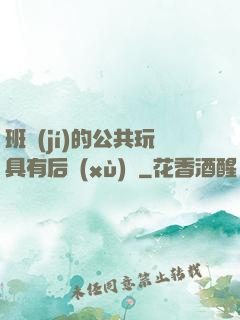 班級(jí)的公共玩具有后續(xù)嗎