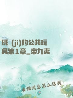 班級(jí)的公共玩具第1章