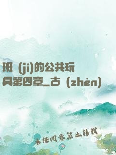 班級(jí)的公共玩具第四章