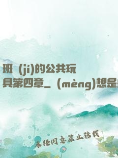 班級(jí)的公共玩具第四章