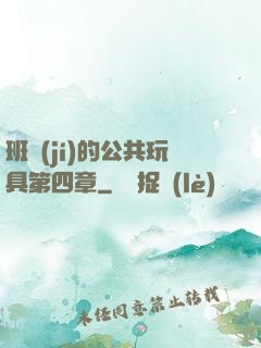 班級(jí)的公共玩具第四章