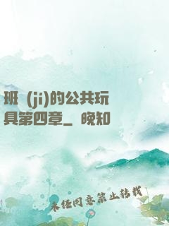 班級(jí)的公共玩具第四章