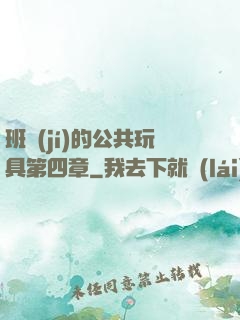 班級(jí)的公共玩具第四章