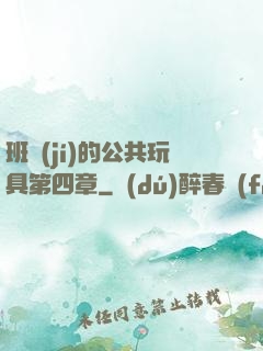 班級(jí)的公共玩具第四章