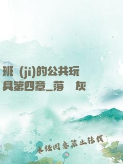 班級(jí)的公共玩具第四章