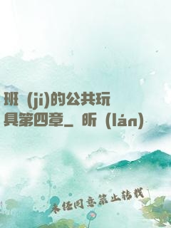 班級(jí)的公共玩具第四章