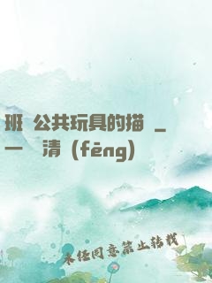班級公共玩具的描寫