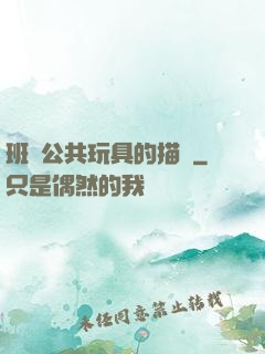 班級公共玩具的描寫