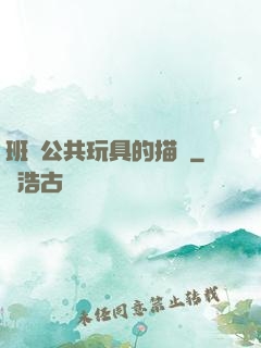 班級公共玩具的描寫